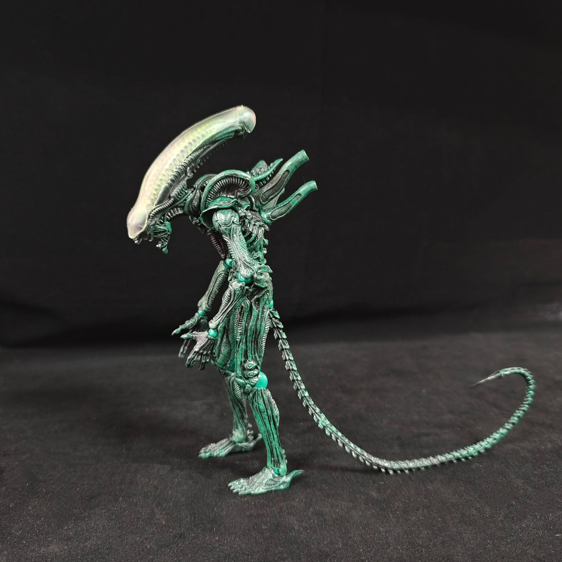 Boxed Anime Alien Action Figur - Xenomorph Kids Toys review and price