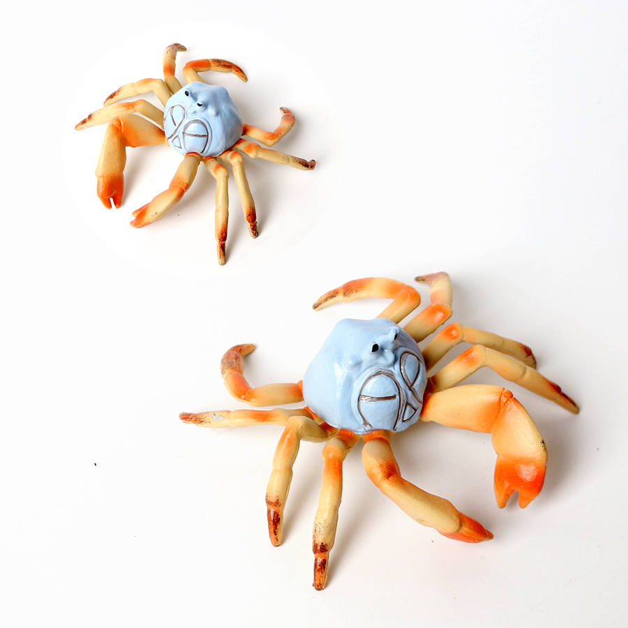 Realistic Ocean Animals Hermit - Kids Toys Home review and price