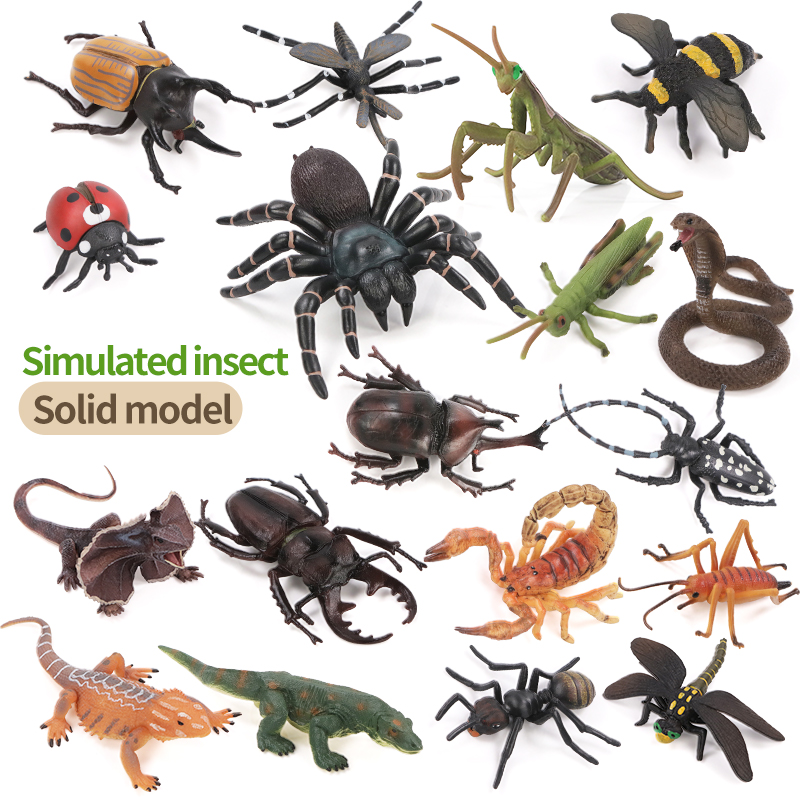 Educational Simulation Insect  - Kids Toys Brands review and price
