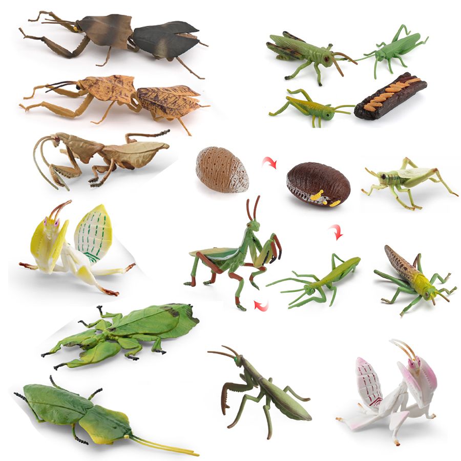 Realistic Orchid Mantis Dead L - Kids Toys Home review and price