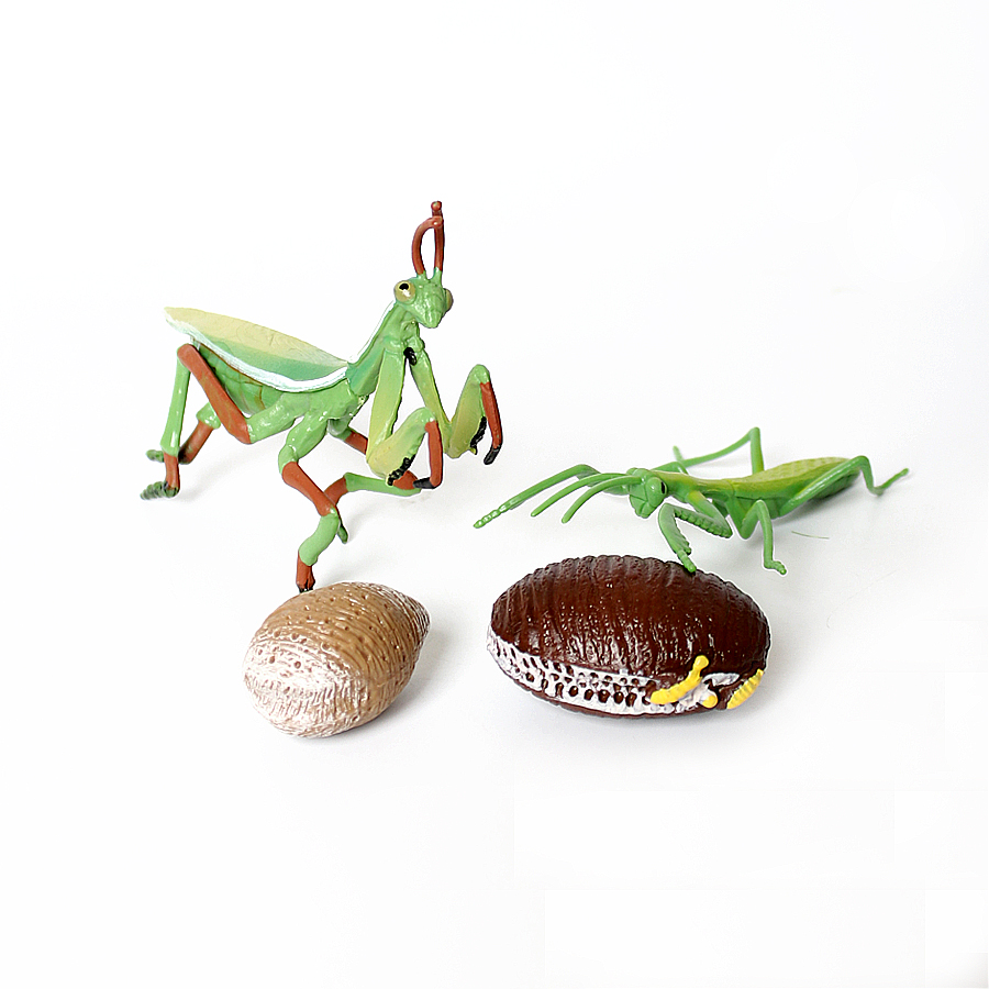 Realistic Orchid Mantis Dead L - Kids Toys Home review and price
